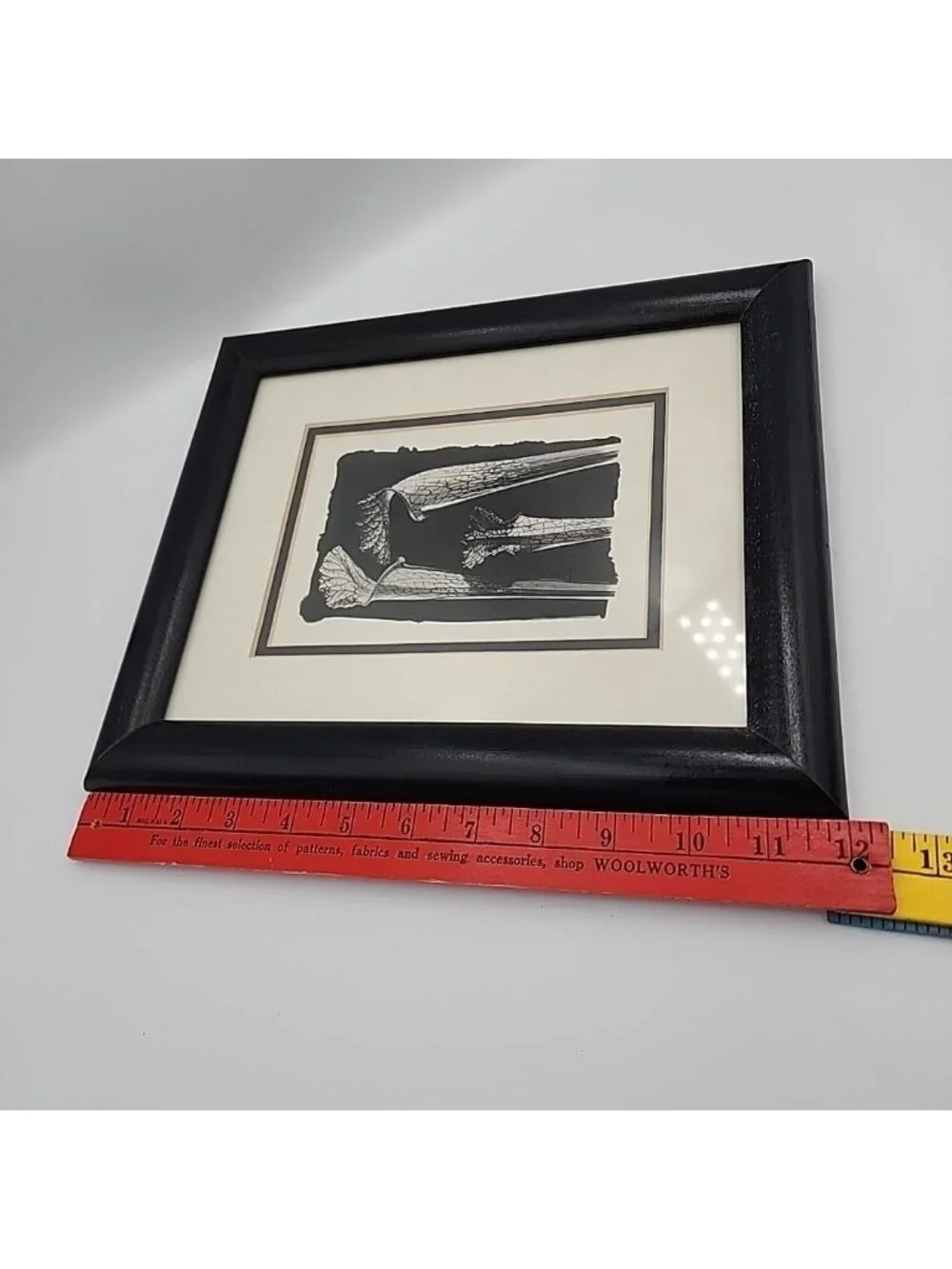 Framed Art Tom Ferguson Photographs Cobra Lilies 1994 12x10